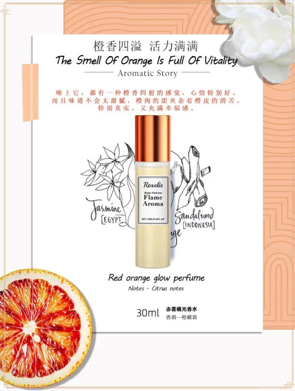 Portable Citrus Charm Ball Perfume Light Luxury Lasting Succubi Elegant Charm Stay Fragrant Wrist Ear Lovers Dat